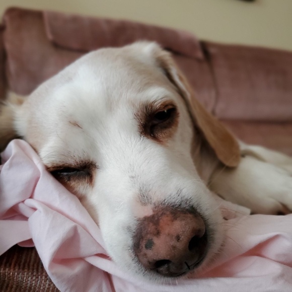 Meet your Posher, Christy - Picture 1 of 1